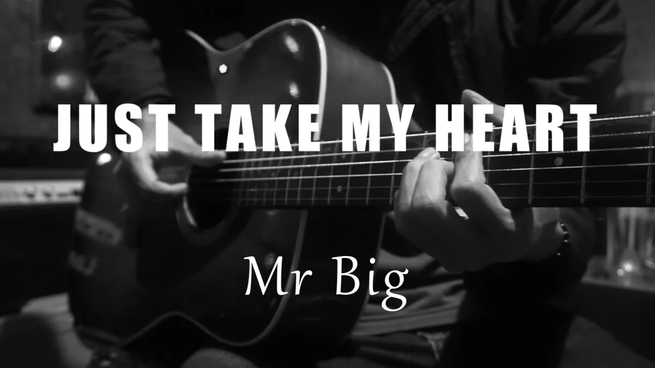 Just Take My Heart - Mr Big ( Acoustic Karaoke )