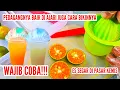 Lagu DI AJARI LANGSUNG SAMA AHLINYA!!! IDE JUALAN KEKINIAN  , ES JERUK PERAS SEGAR  , KULINER PASAR KEMIS