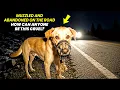 Download Lagu Muzzled and Abandoned on the Road: A Dog’s Unbelievable Rescue Story