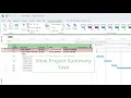Understanding the Project Summary Task in MS Project 2025