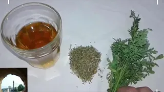 فوائد كثير من فيجل شاهد دندنها