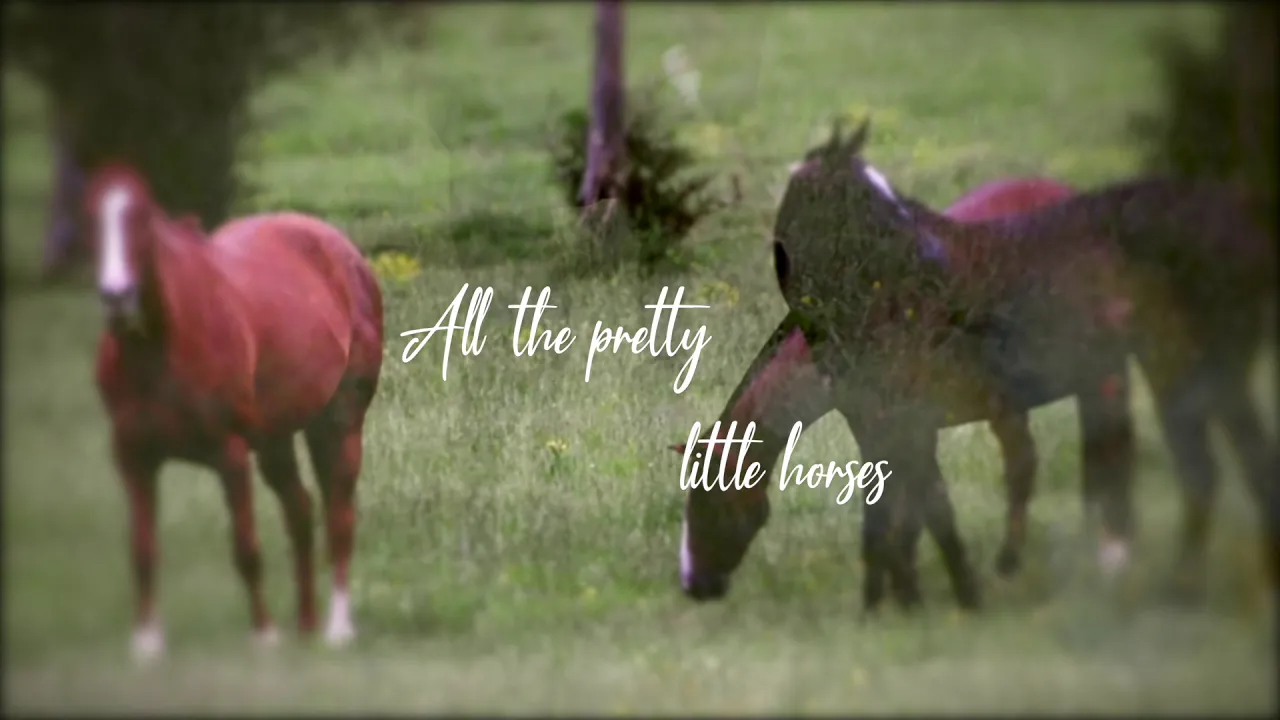 All The Pretty Little Horses - Lyric Video All The Pretty Little Horses - Lyric Video