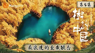 [CC]FULL《树说中国》第5集：最浪漫的金黄银杏｜China: Told by Its Trees｜Mango TV