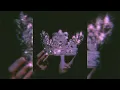 Download Lagu 『✴✧ 𝓞𝓭𝓮𝓽𝓪𝓻𝓲 - 𝓗𝔂𝓹𝓷𝓸𝓽𝓲𝓬 𝓓𝓪𝓽𝓪 ✧✴』