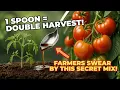 1 Tablespoon of THIS Doubles Your Tomato, Cucumber \u0026 Pepper Harvest — Secret Fertilizer Revealed!