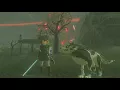 Zelda Breath of the Wild - Midna s Helmet Location EX Treasure Twilight Relic