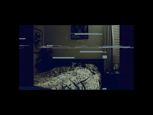 background images