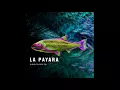 La Payara - Pez Psicodélico