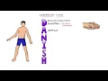 Cerebellar Dysfunction Signs Mnemonic - DANISH: What are the Signs of Cerebellar Dysfunction?
