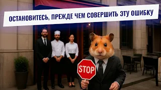Hamster Feed: Прежде чем начать бизнес - посмотрите это