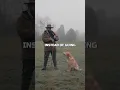 The Importance Of Impulse Control