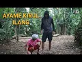 Download Lagu KONCI #155 | KOMEDI NGAPAK CILACAP | GOLETI AYAM