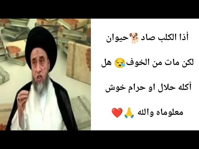 ⁣أذا الكلب صاد حيوان لكن مات من الخوف هل اكله حلال. 🤔🙏❤||ح9كتاب الصيد والذبائح ||سيد صباح شبر