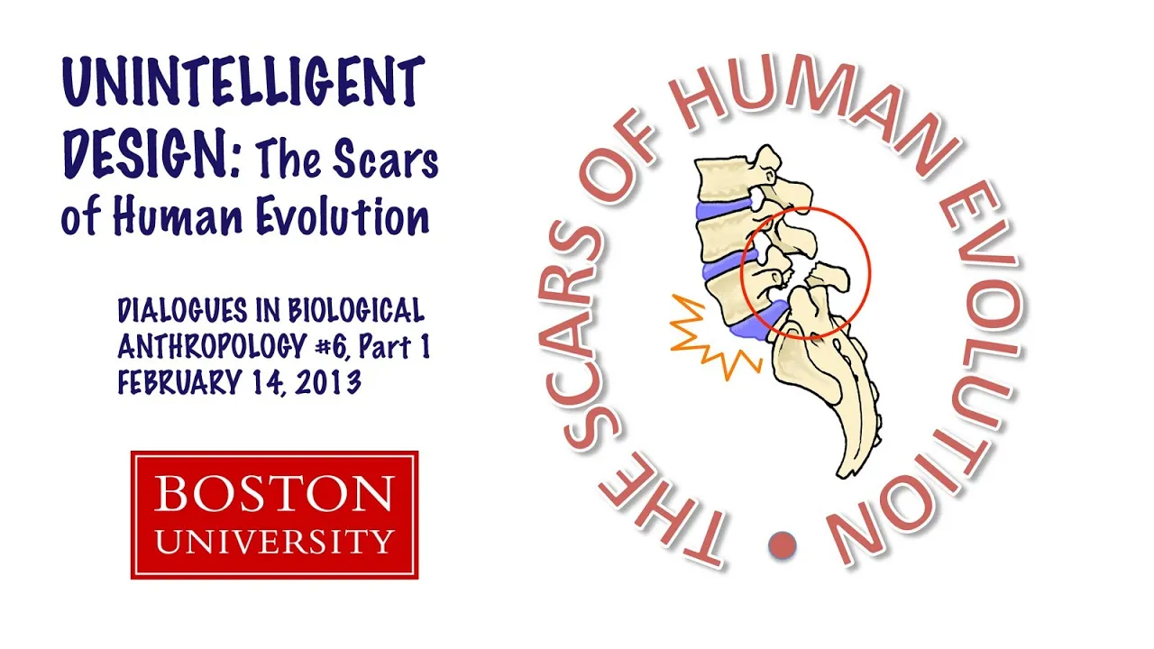 Boston University Dialogues in Biological Anthropology Number 6 – Part 1