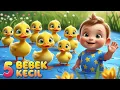 Download Lagu 5 BEBEK KECIL BERMAIN | ANAK AYAM PIYIK PIYIK | SUARA HEWAN | CIT CIT CUIT | DuDuDu Kids