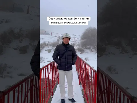 31 января 2025 г.