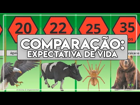 Download MP3 Comparação: Expectativa de vida dos animais