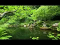 Deep Sleep Music and Nature Sounds - Zen Garden HD Relaxing