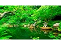 Download Lagu Deep Sleep Music and Nature Sounds - Zen Garden HD Relaxing