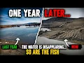 New Mexico s Water Is Disappearing So Are the Fish