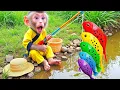 Download Lagu BiBi monkey catches koi fish, picks fruit, finds toys and opens super cute surprise eggs