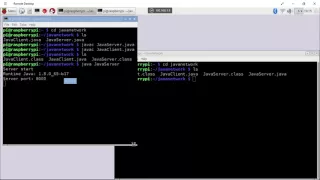 Java Network exercise bi-direction communication between echo server and client