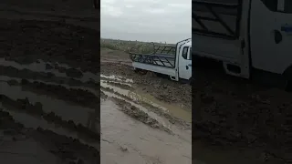 زلمه لمن دايخ ماضل وراك زلم 