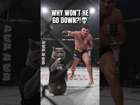 UFC Fighter vs. The Strongest Cat π₯π₯#shorts #comedy #funnycats