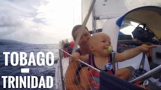 Mal NUR Segeln! Karibik: Von Tobago nach Trinidad – Gastauftritt: die Kakerlake || Sailing 7seas #42