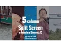 How to Create a 5-column Split Screen Effect in Premiere Elements 13