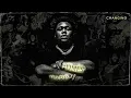 Rod Wave - Changing (Official Audio)