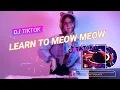 Download Lagu DJ TIKTOK TERBARU 2020 - LEARN TO MEOW MEOW REMIX BY DJ IMUT - DJ TIKTOK VIRAL - NCS