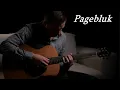 Download Lagu Pagebluk / Alip Ba Ta (cover by Łukasz Trochim)