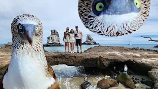 Worth The WAIT, Exploring Isla Isabel – Onboard Lifestyle ep 255