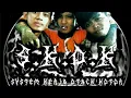 Download Lagu S.K.O.K-pintar tapi bodoh video liryc
