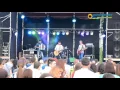 ЦВІТ КУЛЬБАБИ  - Сіно