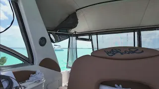 Sailing Doodles Live Stream