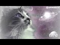 Spacecats Light,Green Light Original - Duke Dumont & Ummet Ozcan | RaveDj