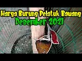 Download Lagu Harga Burung Pelatuk Bawang Desember 2021