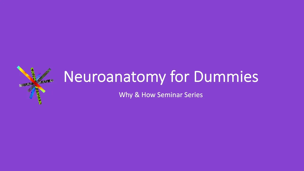 Introduction to Neuroanatomy: Brain Structures & Landmarks