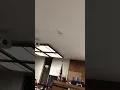 Charges Dismissed - No Drivers License