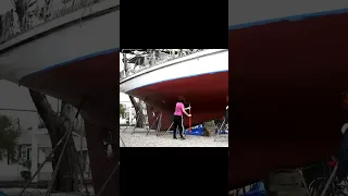 #macaws #bottompaint #sailing #satisfying #art #oddlysatisfying