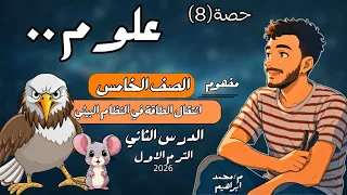 الدرس الثاني علوم الصف الخامس الابتدائي مفهوم انتقال الطاقة في النظام البيئي خامسة ابتدائي 