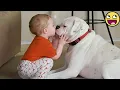 Download Lagu Je wordt verliefd op deze baby en zijn beste vriend, de hond! ❤️🐶