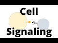 Cell Signaling Types Paracrine Endocrine Juxtacrine