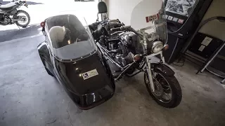 I Bought a Big Fat Bike – Moto Dog Diaries 1