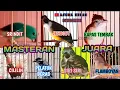 Download Lagu masteran burung juara || Kapas tembak Siri siri Pelatuk beras Srindit Cililin Jenggot Flamboyan