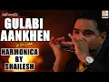 Gulabi Aankhen | Best Of Bollywood On The Harmonica | Shailesh Mogre | Instrumental