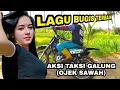 Taksi Galung Luttu (ojek sawah cross) Lagu bugis terbaik sangat enak di dengar Waktu kerja sappo