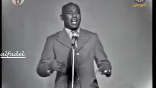 الحبيتا ديك جاهلة غناء محمد حسنين 